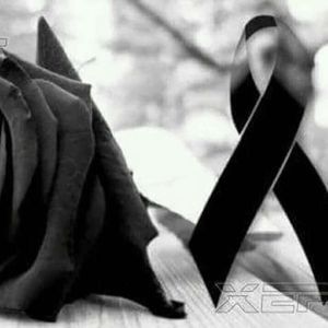 Meet your Posher, Danna